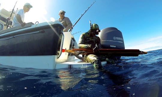 Deep Sea Fishing in Madalena, Portugal on 29' Blue Cuddy Cabin