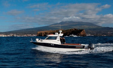 Pesca em alto mar em Madalena, Portugal, na cabine Blue Cuddy de 29 pés