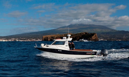 Deep Sea Fishing in Madalena, Portugal on 29' Blue Cuddy Cabin