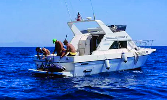 Enjoy Fishing In Rosignano, Italy On 37' Cuddy Cabin