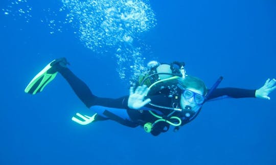 Enjoy Diving Trips in Umkomaas, South Africa