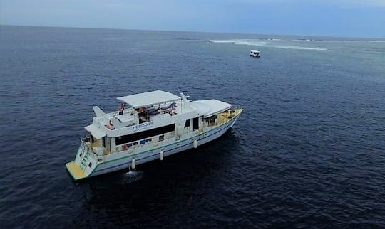 Charter Horizon 2 Motor Yacht in Otopeni, Romania