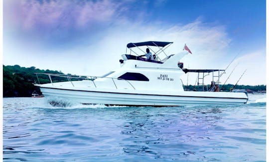 Motor Yacht rental in Denpasar Selatan