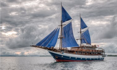 Sailing Sea Safari 8 Schooner Diving Liveaboard Cruises in Indonesia