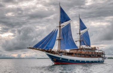 Sailing Sea Safari 8 Schooner Diving Liveaboard Cruises in Indonesia