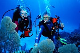 Enjoy Diving Lessons and Trips in Limasol, Cyprus
