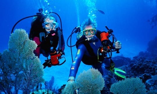 Enjoy Diving Lessons and Trips in Limasol, Cyprus