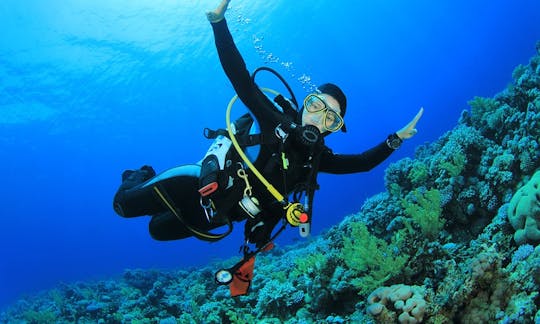 Enjoy Diving Lessons and Trips in Limasol, Cyprus