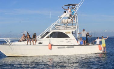 Reserve nuestro barco de pesca Sport Fisherman de 45 pies desde la isla Denarau, Fiji