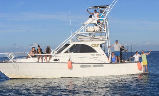 Book our 45' Sport Fisherman Fishing Boat From Denarau Island, Fiji