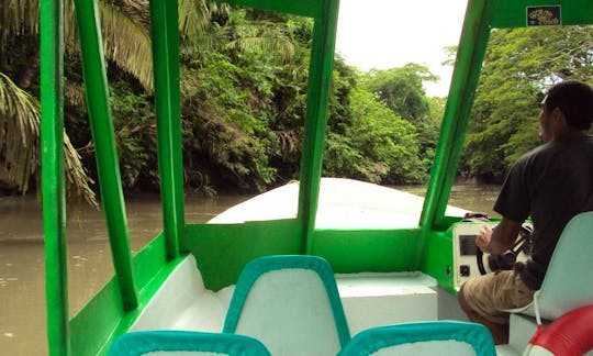 River Boat Tour on Palo Verde National Park in Liberia, Costa Rica