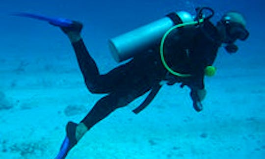 Enjoy Diving Courses and Trips in Provincia de Guanacaste, Costa Rica