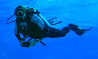 Enjoy Diving Courses and Trips in Provincia de Guanacaste, Costa Rica