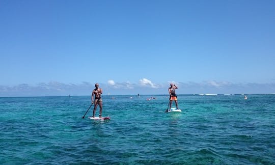 Rent a Stand Up Paddleboard in Le Morne, Mauritius