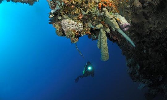 Enjoy Diving Courses in Baga, Goa, India