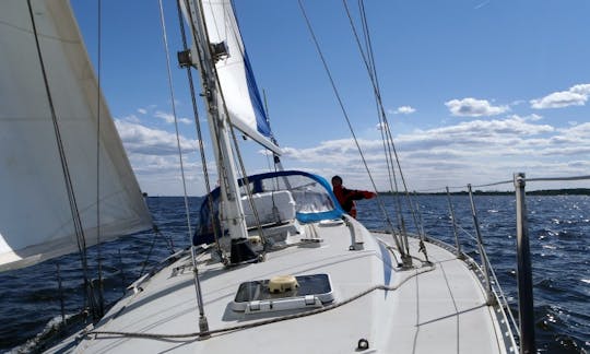 Charter 41' Cruising Monohull in Trzebiez, West Pomerania