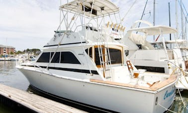 Aluguer de iates a motor Dawson Sportfish de 38 pés em Norfolk, Virgínia