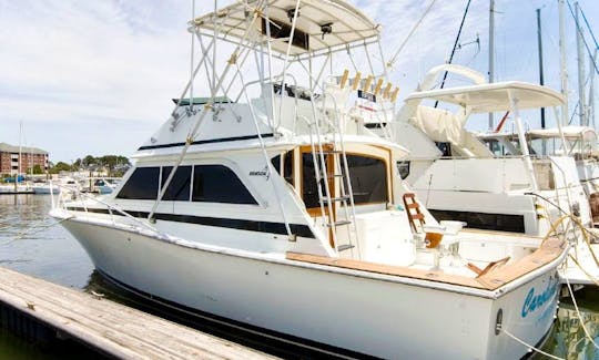 38' Dawson Sportfish Motor Yacht Charter in Norfolk, Virginia