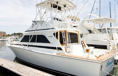 38' Dawson Sportfish Motor Yacht Charter in Norfolk, Virginia