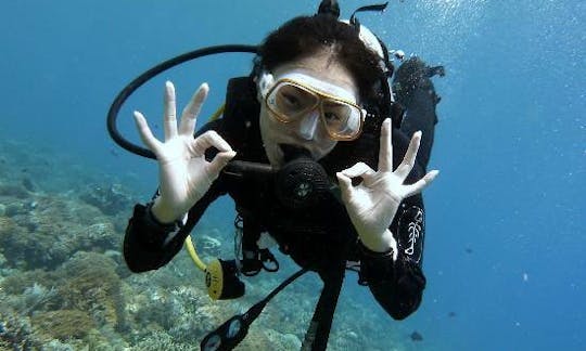 Diving Trips and Courses in Pattaya, Thailand