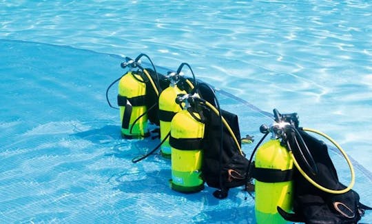 Diving Trips and Courses in Pattaya, Thailand