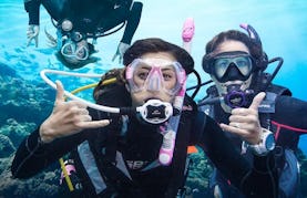 Diving Trips and Courses in Pattaya, Thailand