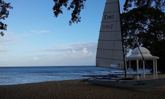 Hobie Cat Sailing