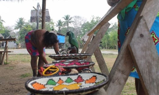 Viaje e experimente a selva, a cultura e a aventura em Garachiné, Panamá