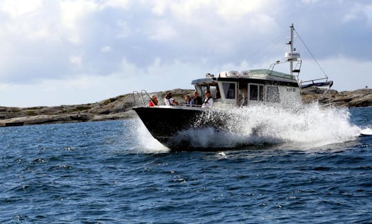 Charter a Elin of Marstrand Trawler in Marstrand, Sweden