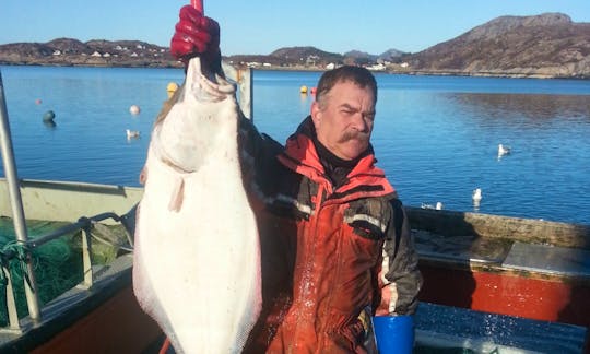 Enjoy Fishing in Oksvoll, Norway on Dinghy