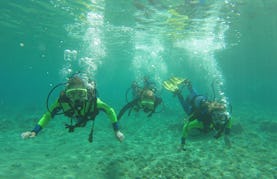 Enjoy Diving Trips and Courses in Paphos, Cyprus