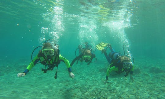 Enjoy Diving Trips and Courses in Paphos, Cyprus