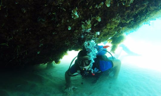 Disfrute de viajes y cursos de buceo en Paphos, Chipre