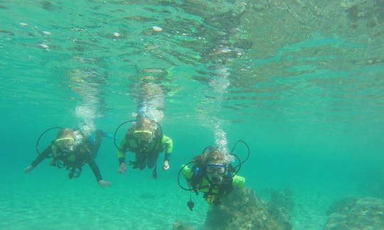 Desfrute de viagens e cursos de mergulho em Paphos, Chipre