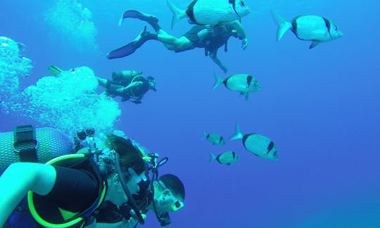 Enjoy Diving Trips and Courses in Paphos, Cyprus