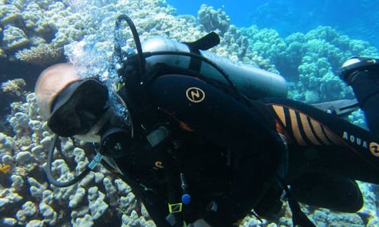 Enjoy Diving Courses in Kecskemét, Hungary