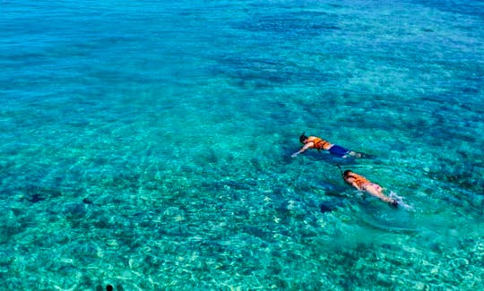 Reef Snorkeling in Bermuda