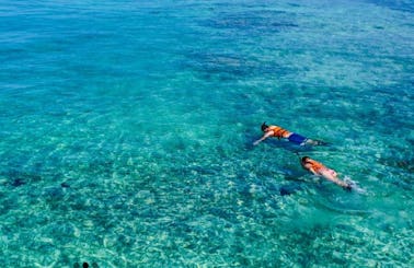 Reef Snorkeling in Bermuda