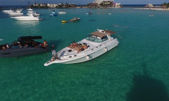 Sea Ray 41 ft yacht for rent at Cancun or Isla Mujeres or Cozumel