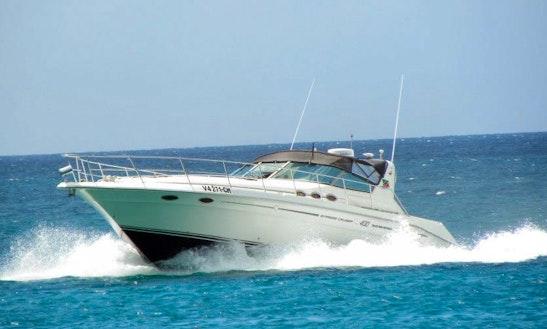 Charter 40' Sea Ray Motor Yacht In Charlestown, Saint Kitts And Nevis