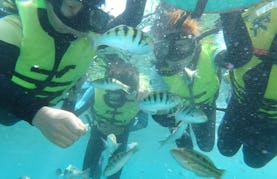 Enjoy Snorkeling Tours in Pingtung, Taiwan