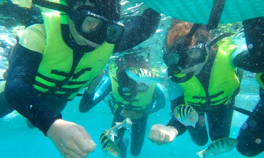 Enjoy Snorkeling Tours in Pingtung, Taiwan