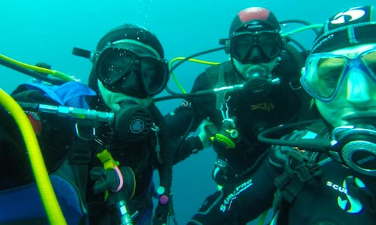 Enjoy Diving Trips in Isola Delle Femmine, Italy