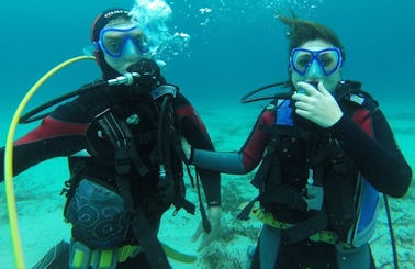 Enjoy Diving Trips in Isola Delle Femmine, Italy