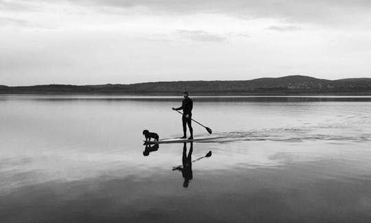 Stand Up Paddleboard Rentals in Gárdony, Hungary