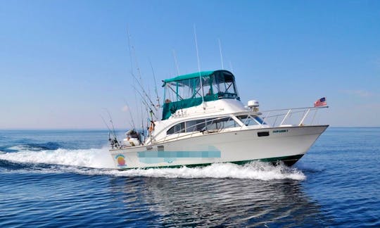 Fishing Charter On 34ft Grand Illusion 2 Silverton Sport Fisherman Yacht in Algoma, Wisconsin