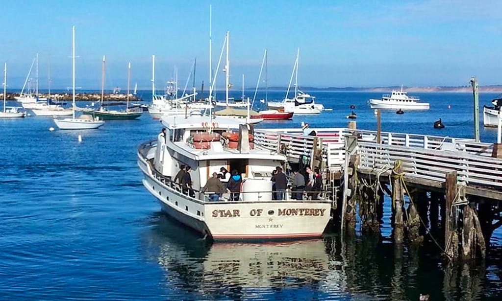 Monterey Whale Watching Guide
