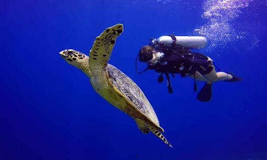 Poderosos viajes de buceo y cursos de buceo con un instructor PADI certificado en Malé, Maldivas