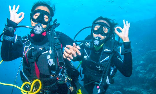 Powerful Diving Trips and Dive Courses with Certified PADI Instructor in Male, Maldives