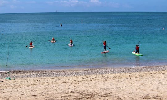 Enjoy Stand Up Paddleboard Lessons in Setubal, Portugal